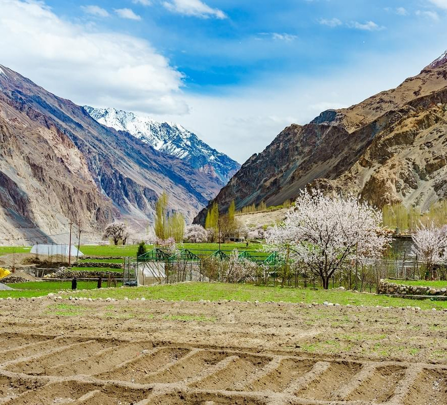 Kargil Landscape