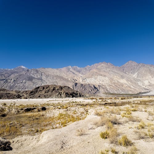 Nubra Valley Landscape