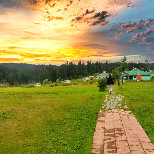Yusmarg Meadows